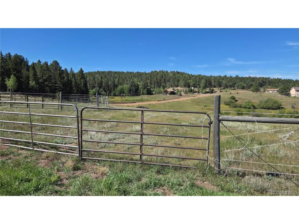 99 Uintah Ridge Road Florissant, CO 80816