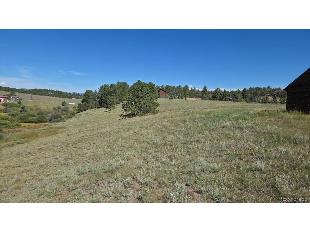 99 Uintah Ridge Road Florissant, CO 80816