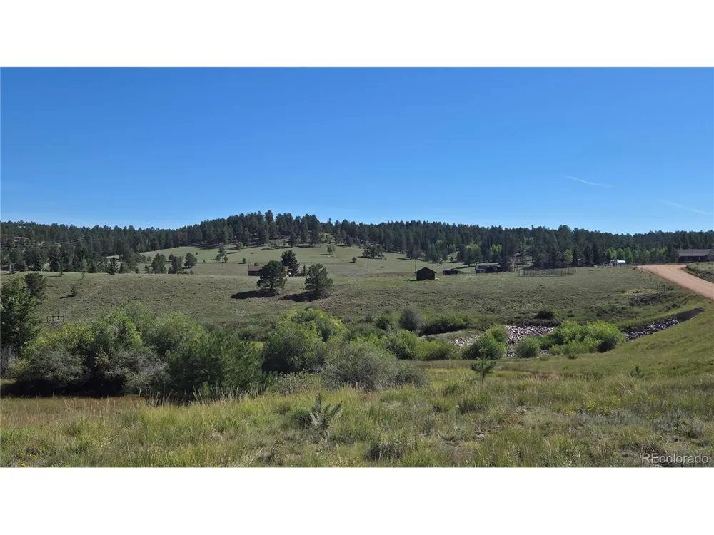 99 Uintah Ridge Road Florissant, CO 80816