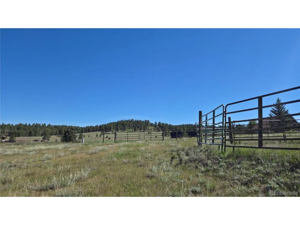 99 Uintah Ridge Road Florissant, CO 80816