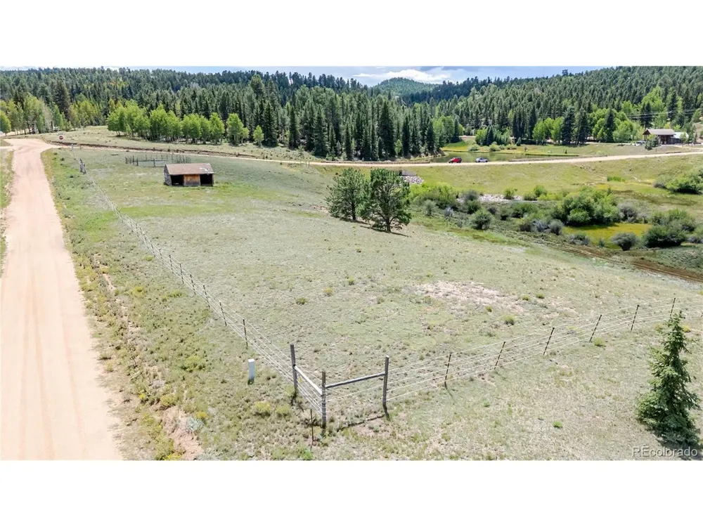 99 Uintah Ridge Road Florissant, CO 80816