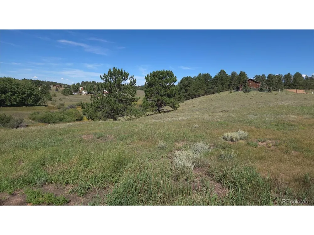 99 Uintah Ridge Road Florissant, CO 80816