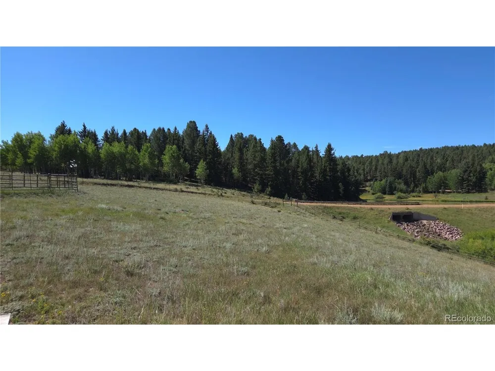 99 Uintah Ridge Road Florissant, CO 80816