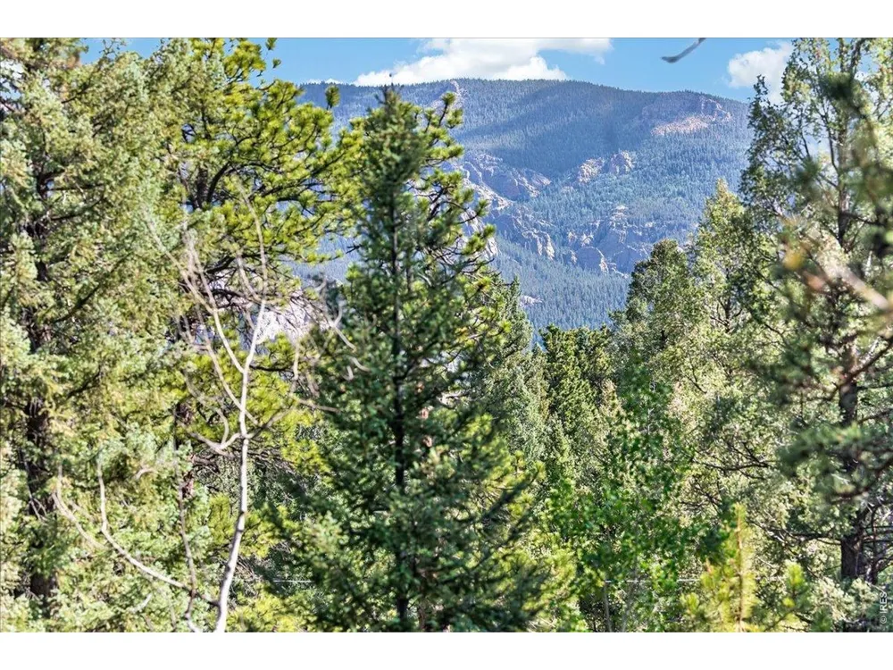 12907 S Cindy Avenue Pine, CO 80470