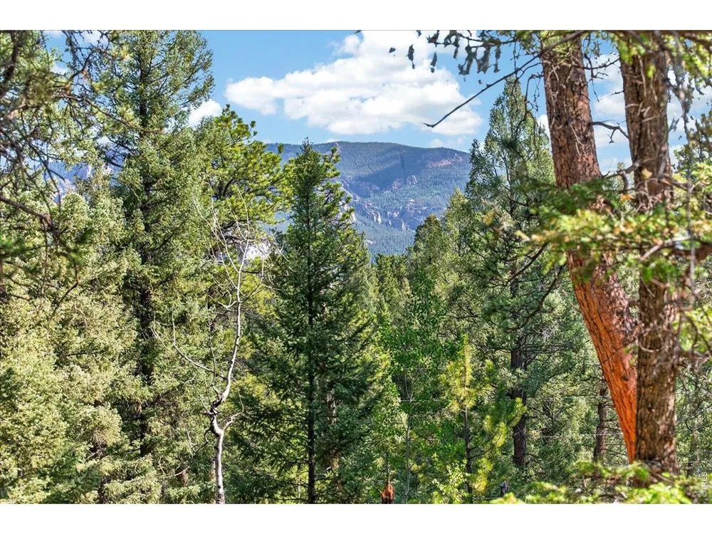12907 S Cindy Avenue Pine, CO 80470