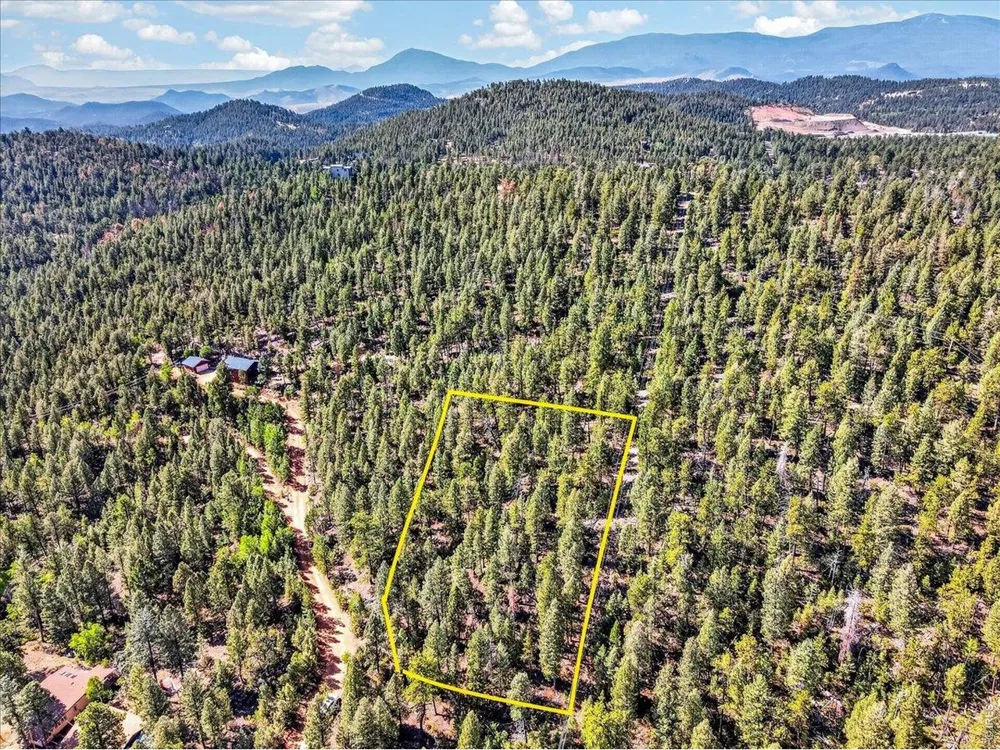 12907 S Cindy Avenue Pine, CO 80470