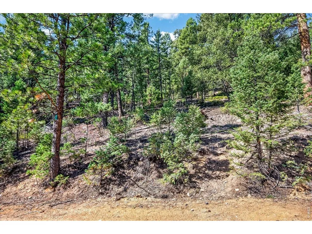 12907 S Cindy Avenue Pine, CO 80470
