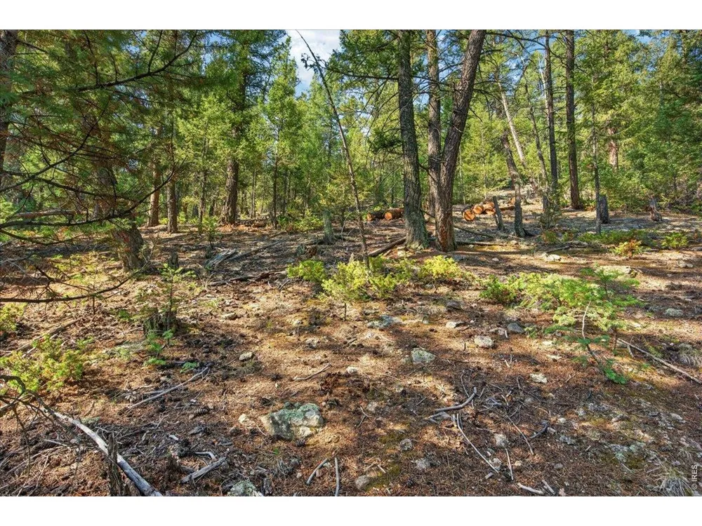 12907 S Cindy Avenue Pine, CO 80470