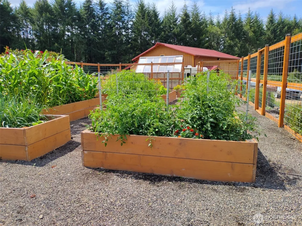 7701 NE 339th Street La Center, WA 98629