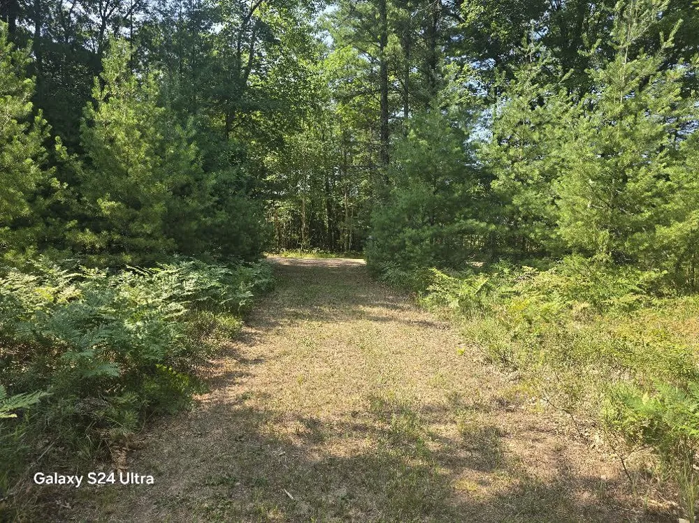 10652 River Road Irons, MI 49644