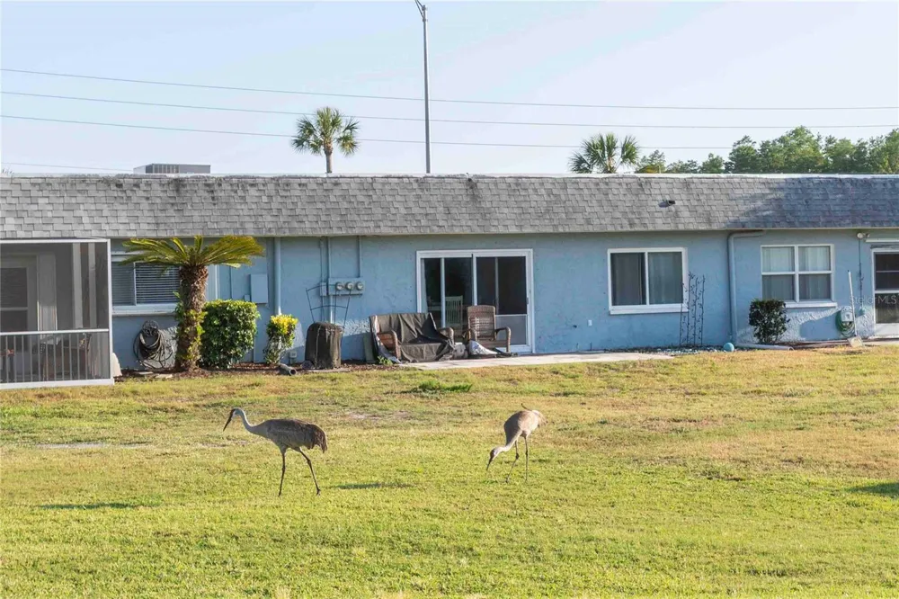 9639 GREENSKEEPER DRIVE #9639 New Port Richey, FL 34655