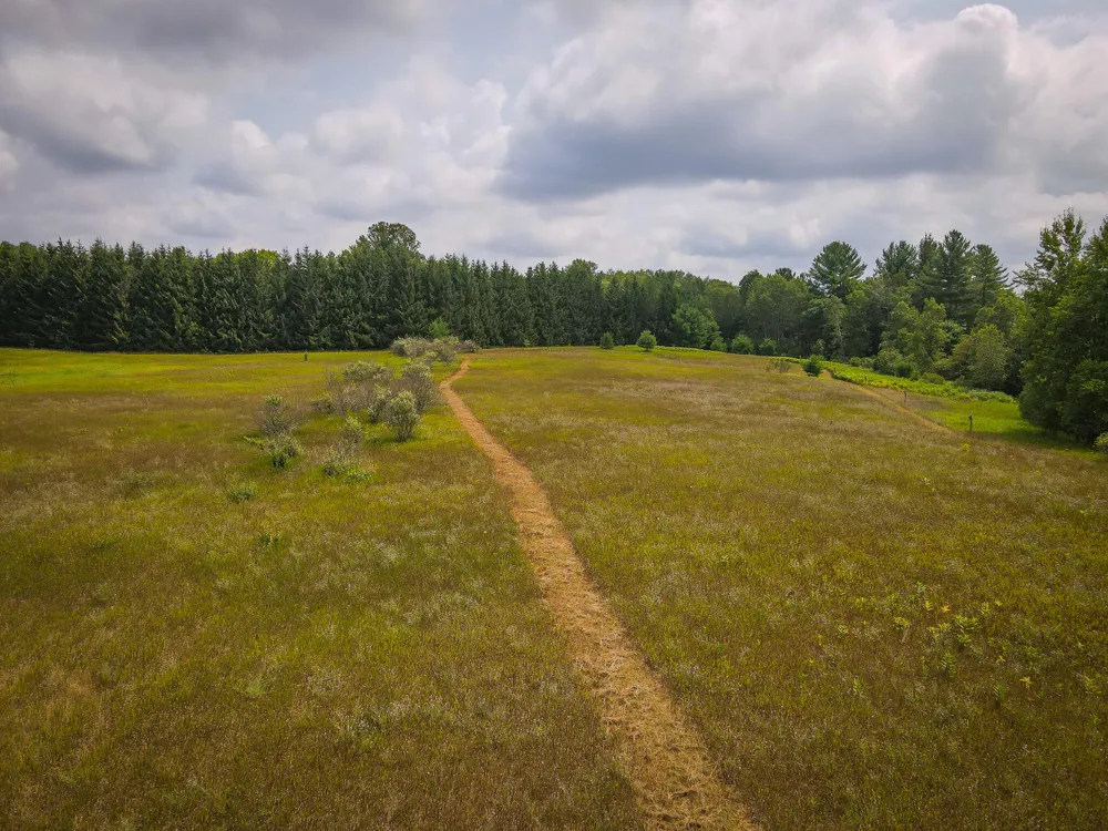5118 Raymond Road Ellsworth Township, MI 49656
