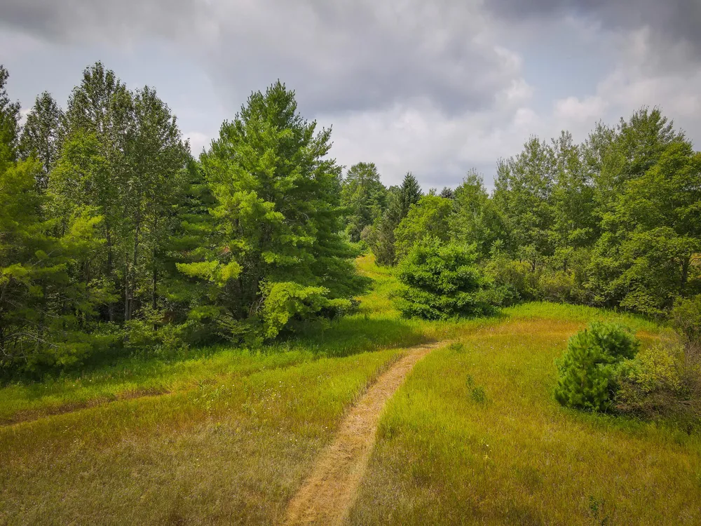 5118 Raymond Road Ellsworth Township, MI 49656