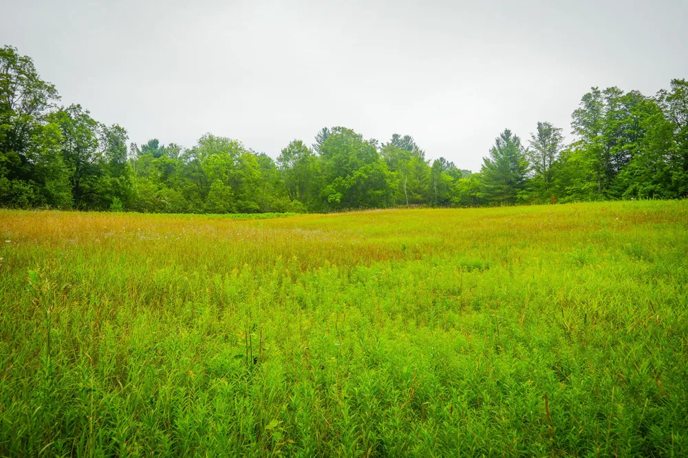 5118 Raymond Road Ellsworth Township, MI 49656