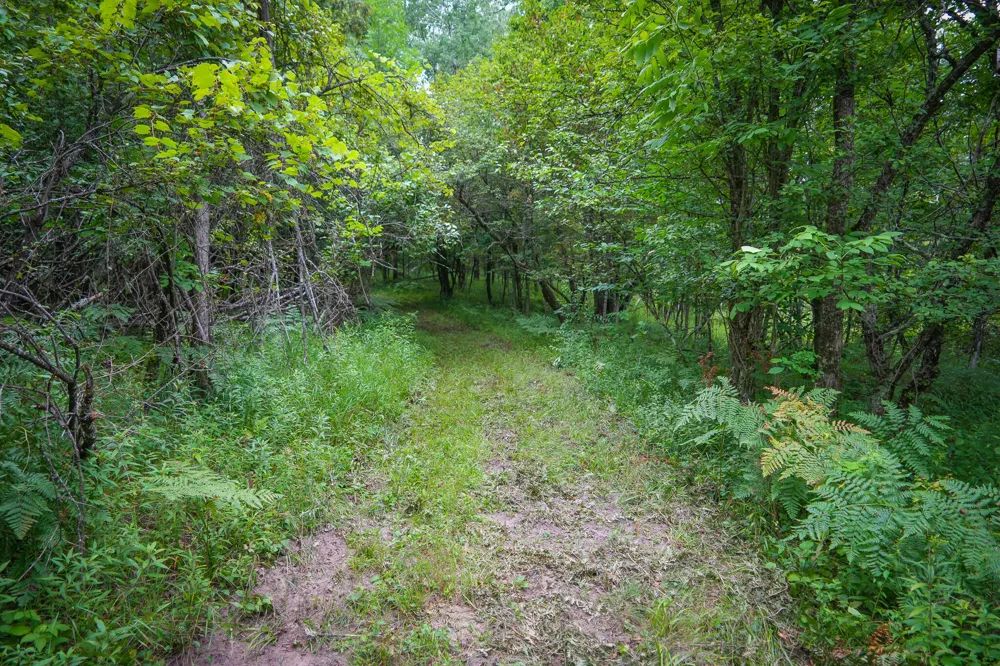 5118 Raymond Road Ellsworth Township, MI 49656