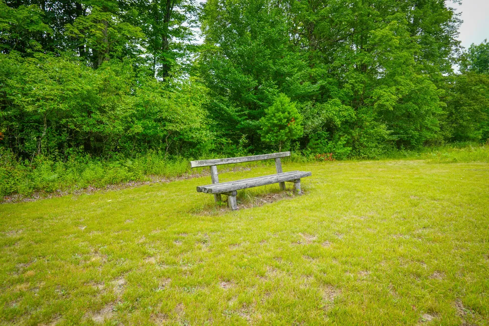 5118 Raymond Road Ellsworth Township, MI 49656