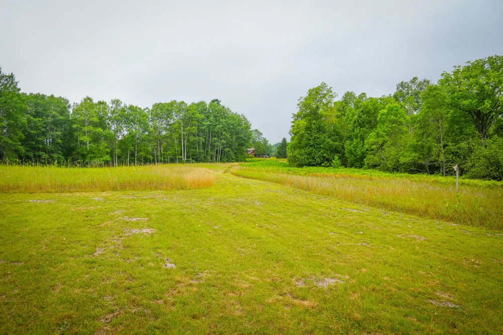 5118 Raymond Road Ellsworth Township, MI 49656