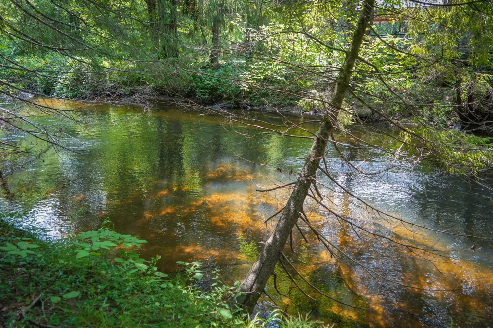 5118 Raymond Road Ellsworth Township, MI 49656
