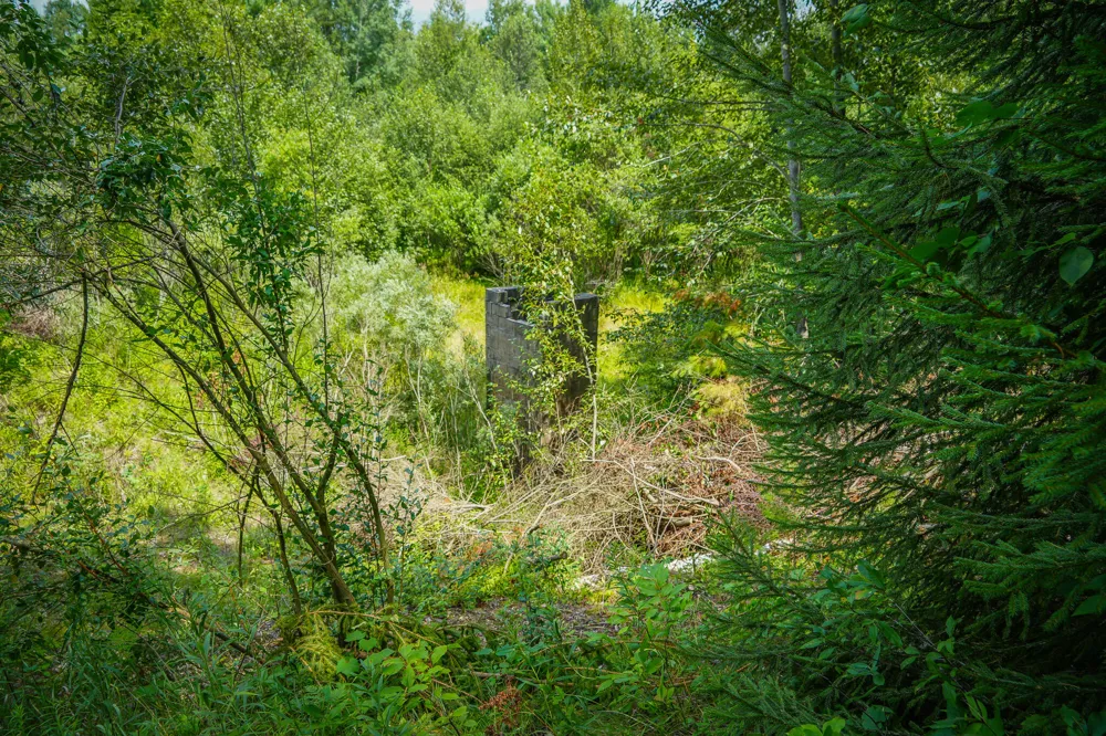 5118 Raymond Road Ellsworth Township, MI 49656