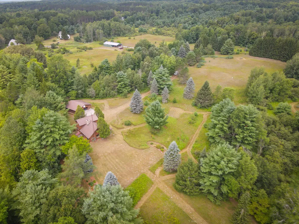 5118 Raymond Road Ellsworth Township, MI 49656