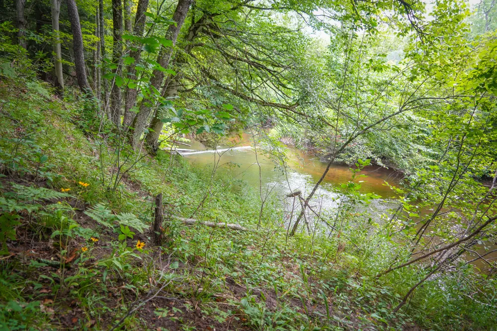 5118 Raymond Road Ellsworth Township, MI 49656