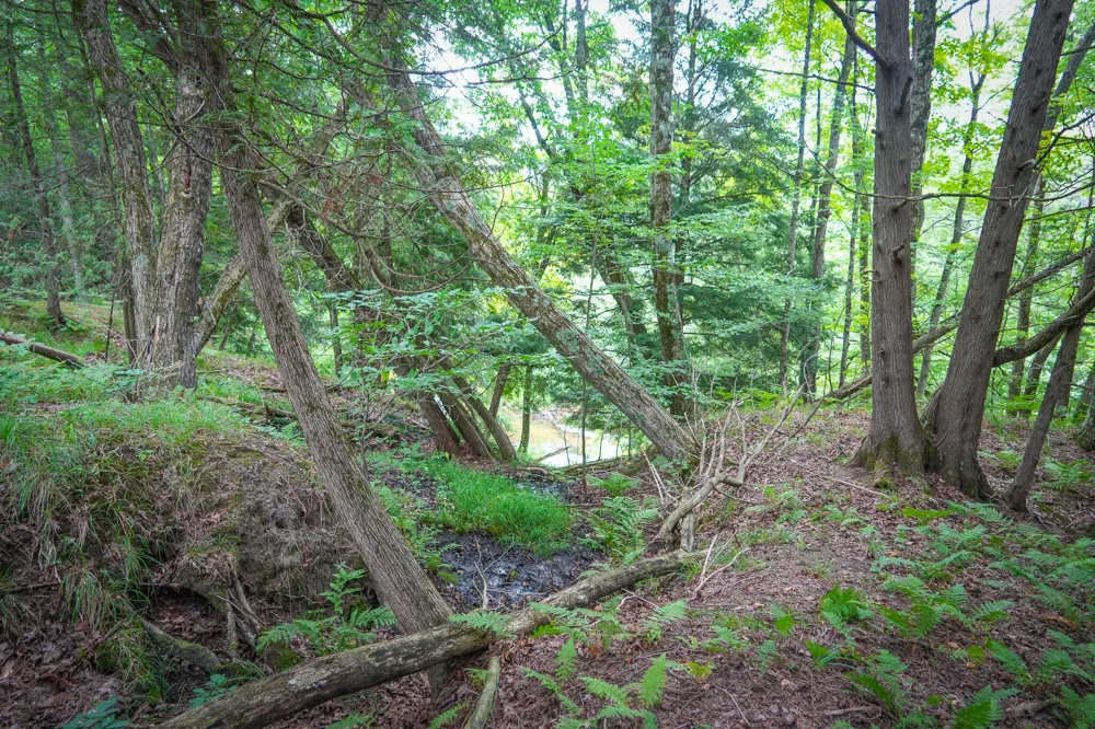 5118 Raymond Road Ellsworth Township, MI 49656
