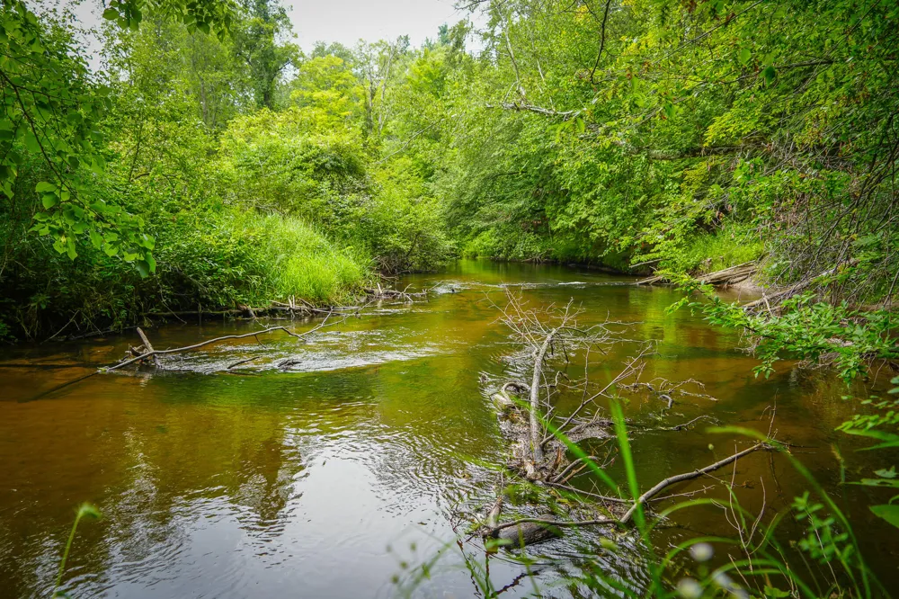 5118 Raymond Road Ellsworth Township, MI 49656