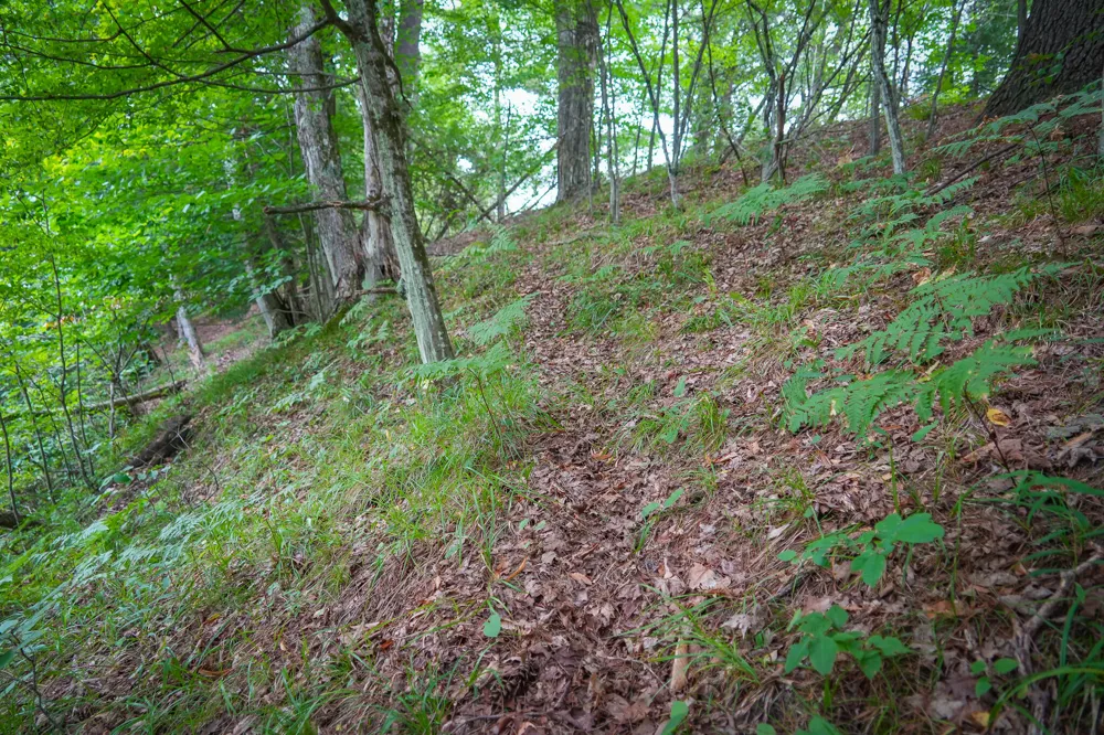 5118 Raymond Road Ellsworth Township, MI 49656