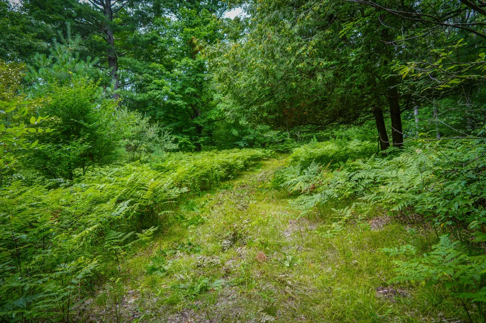 5118 Raymond Road Ellsworth Township, MI 49656