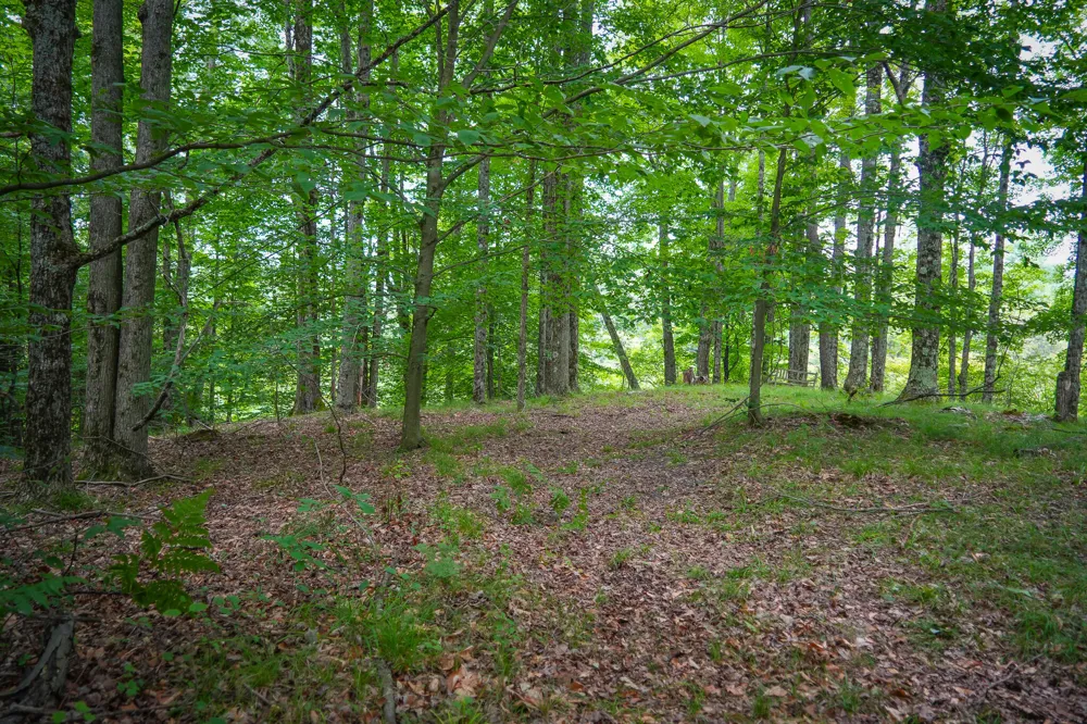 5118 Raymond Road Ellsworth Township, MI 49656