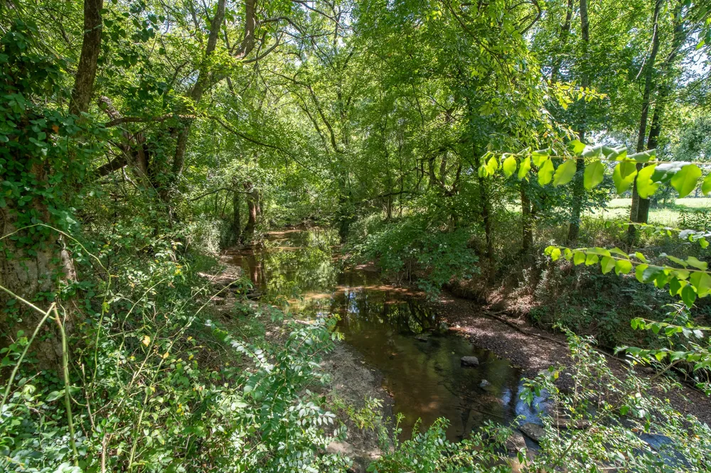 4990 Timothy Ln Columbia, TN 38401