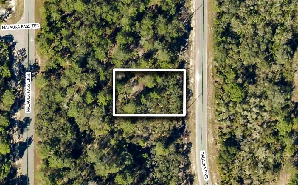 TBD MALAUKA PASS Ocklawaha, FL 32179