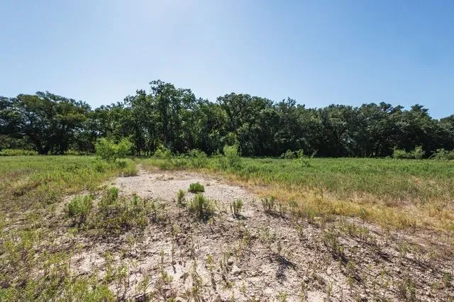 PR 1271 Carlton, TX 76436