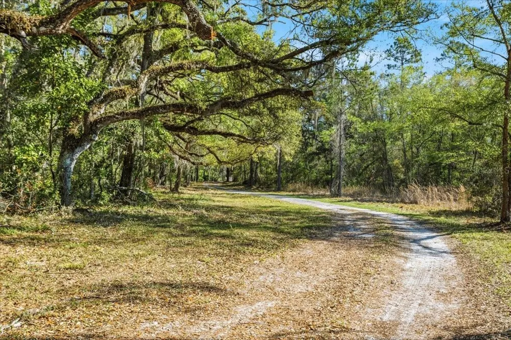 957 NE 354TH AVENUE Old Town, FL 32680