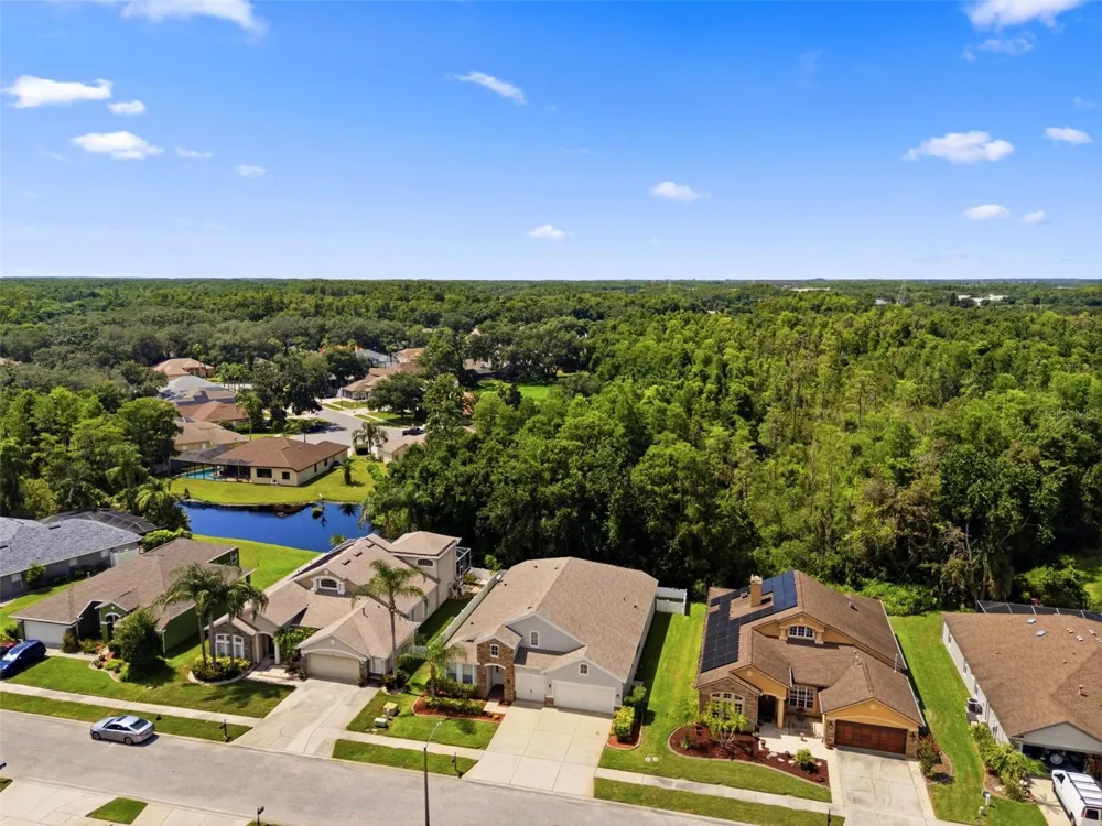1501 FLATWOOD COURT Trinity, FL 34655