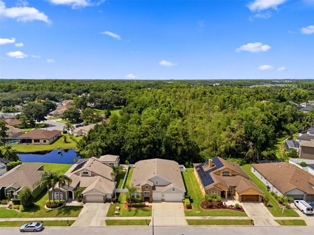 1501 FLATWOOD COURT Trinity, FL 34655