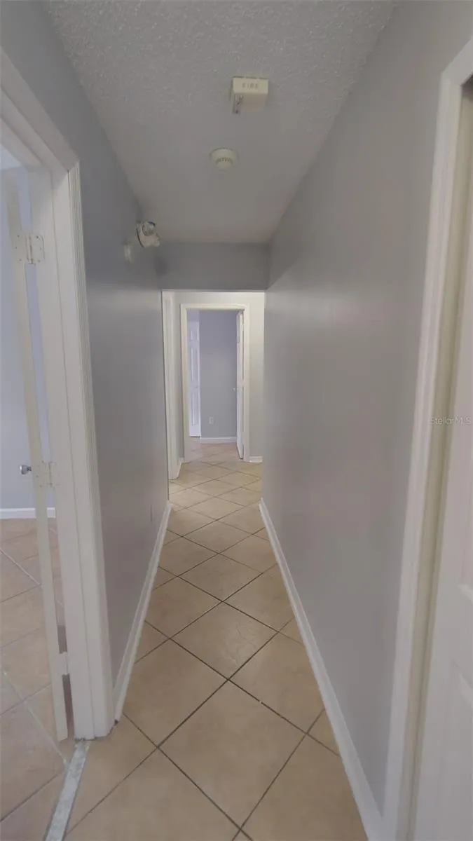 1900 WIREGRAS COURT Orlando, FL 32826
