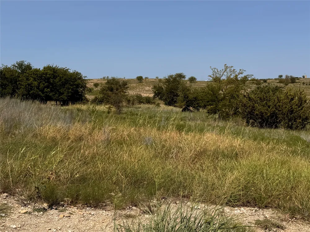 3604 Lucky Pepper Drive Cresson, TX 76035