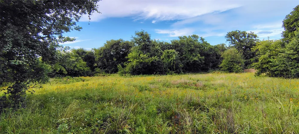FM 309 Hillsboro, TX 76645