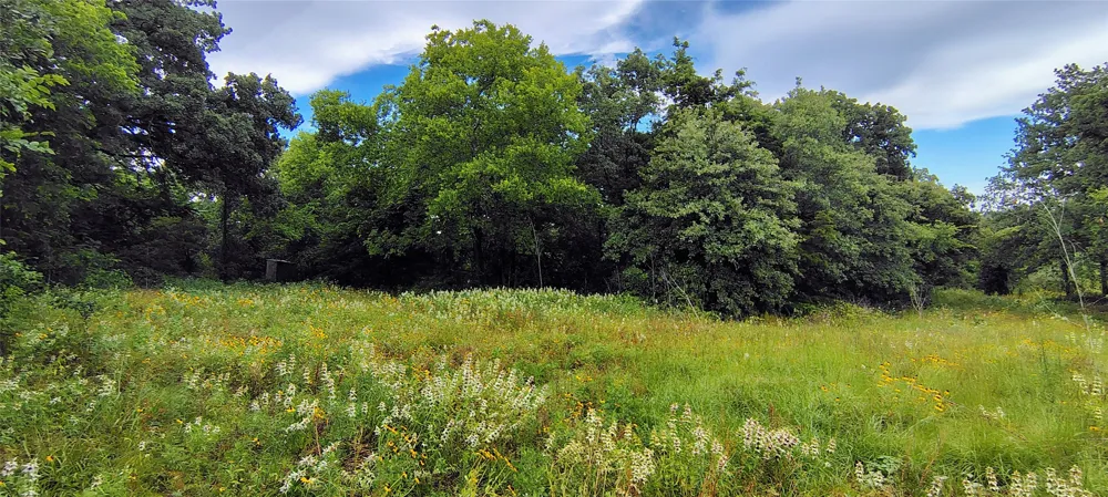 FM 309 Hillsboro, TX 76645