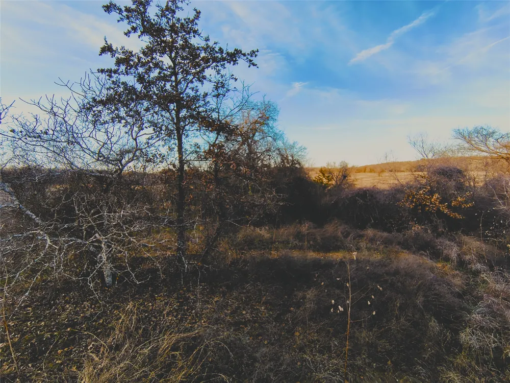 FM 309 Hillsboro, TX 76645
