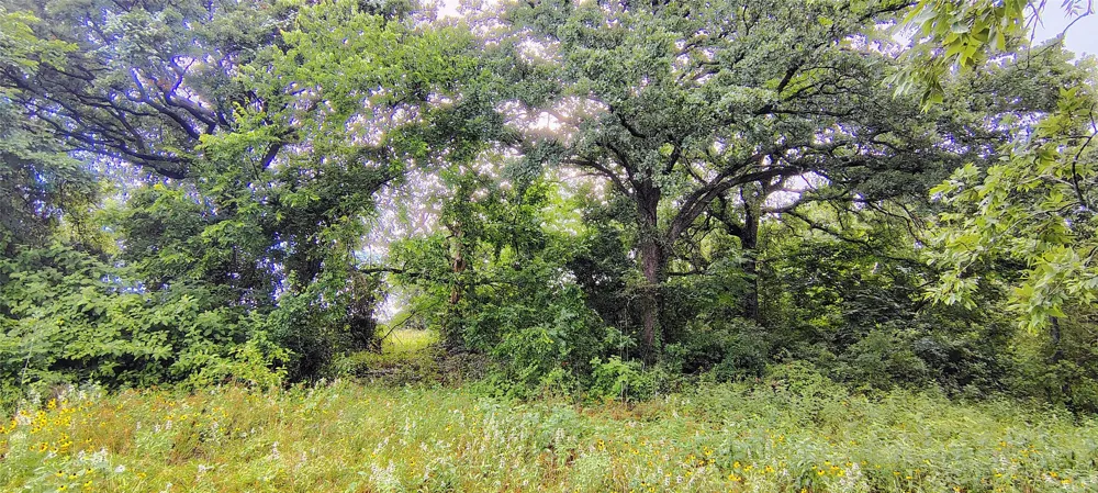 FM 309 Hillsboro, TX 76645
