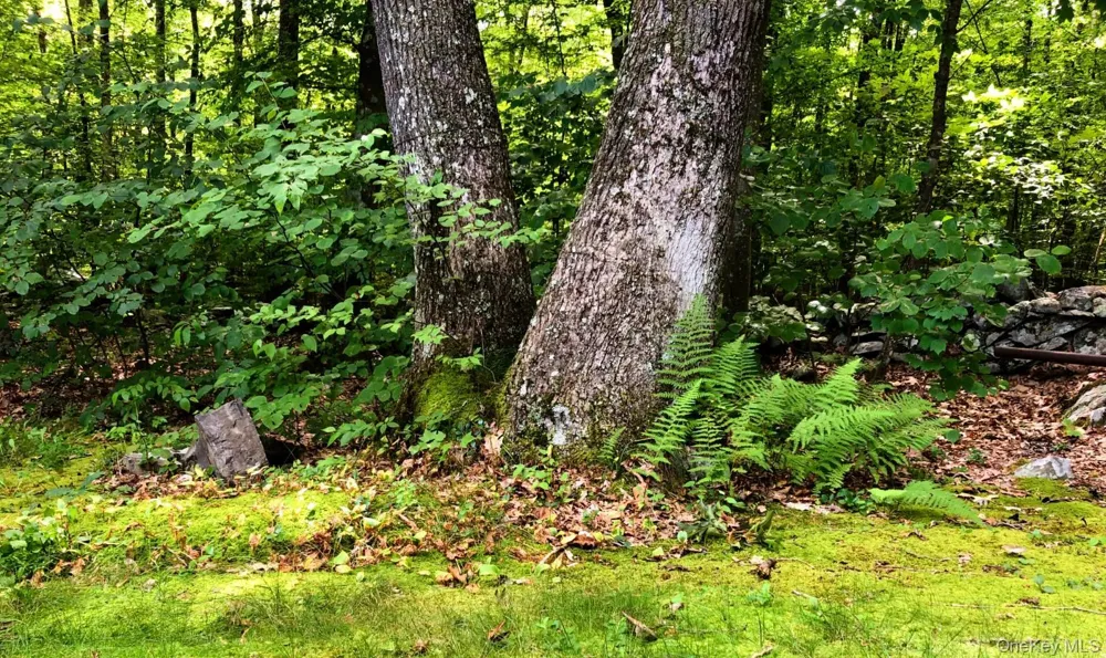 30 Old East Road Wallkill, NY 12589