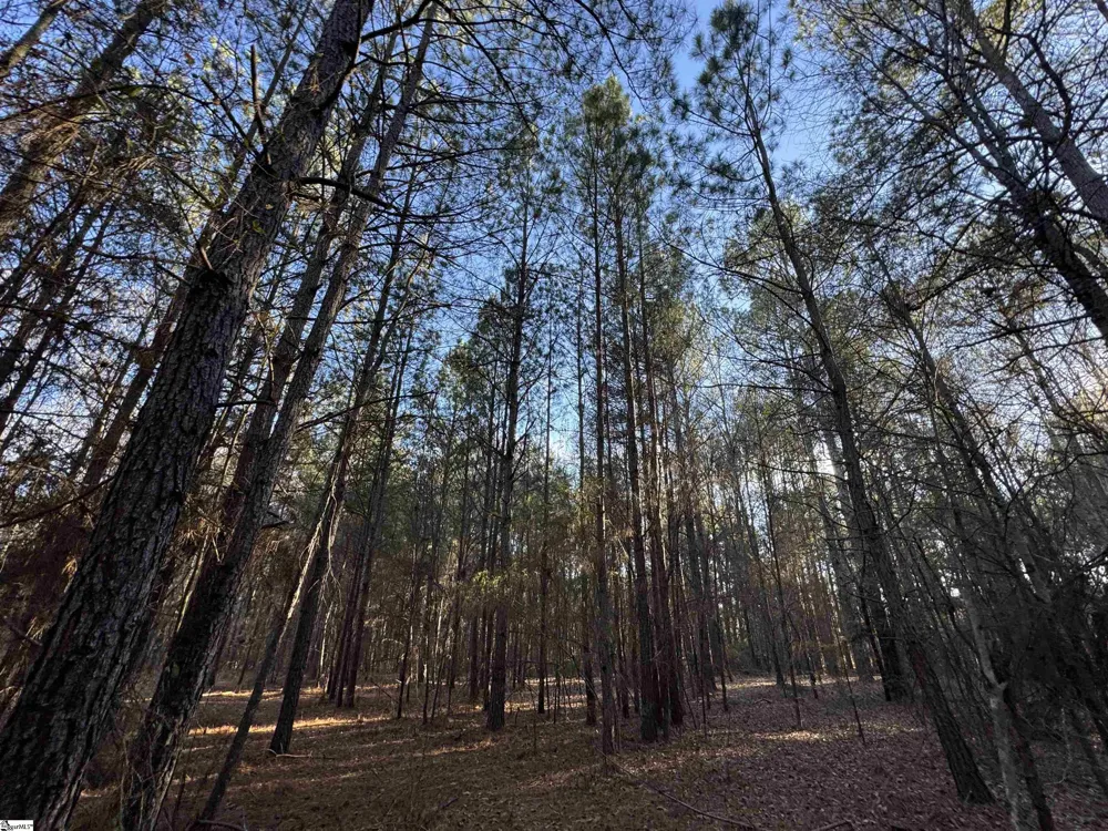 6620 Liberty Highway Pendleton, SC 29670