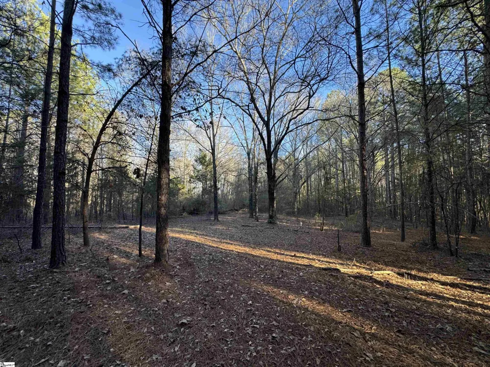 6620 Liberty Highway Pendleton, SC 29670