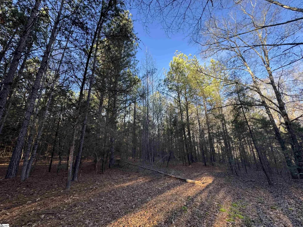 6620 Liberty Highway Pendleton, SC 29670