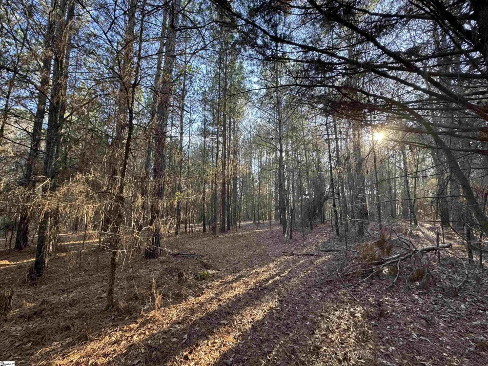 6620 Liberty Highway Pendleton, SC 29670