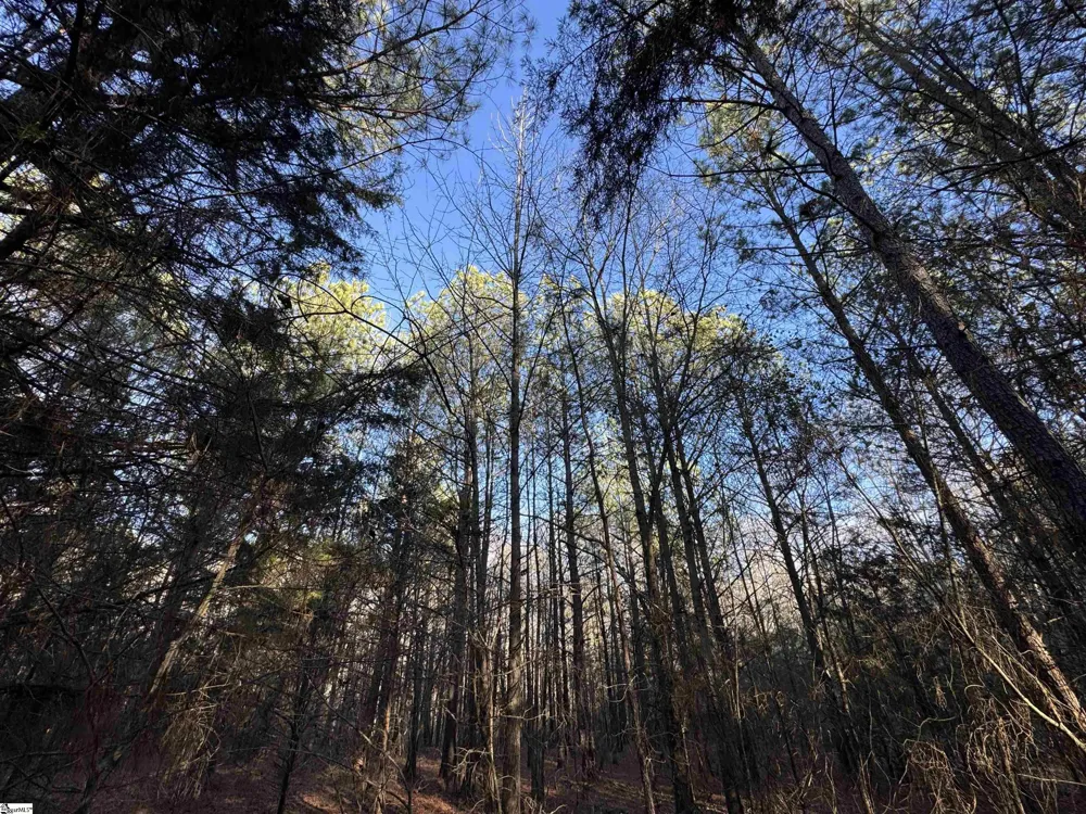 6620 Liberty Highway Pendleton, SC 29670