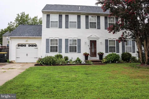 231 ROMEO DRIVE