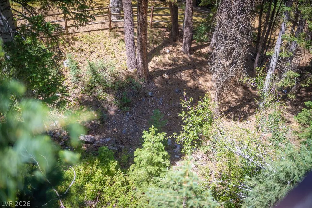 4146 Tyrol Way Mount Charleston, NV 89124